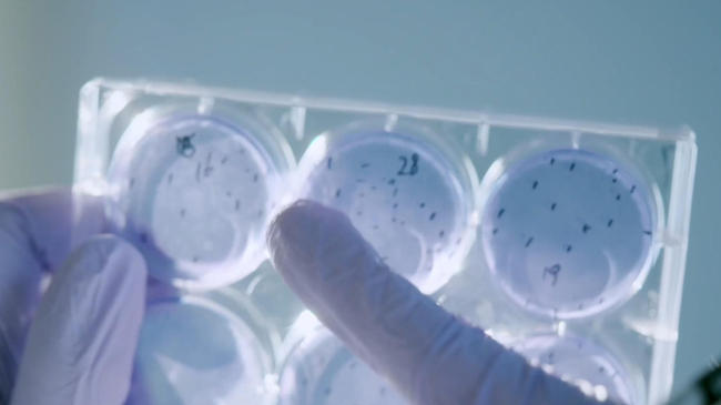 同筑健康防线丨一个传染17个！百日咳，每个家长都该警惕的“隐形炸弹”