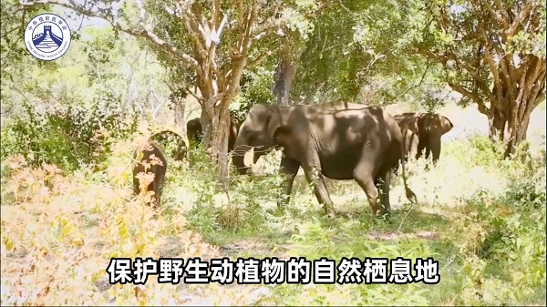 同筑健康防线丨应对病原体跨物种传播 我们需要这样做