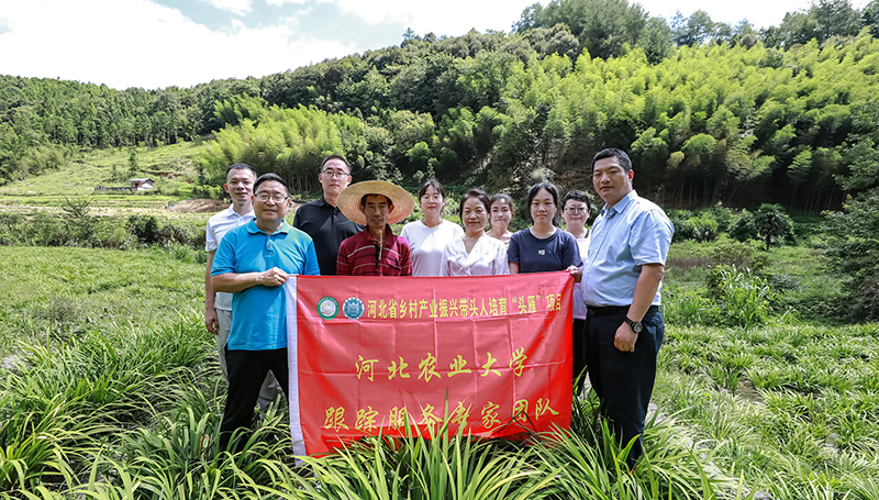 北“雁”南飞启心田