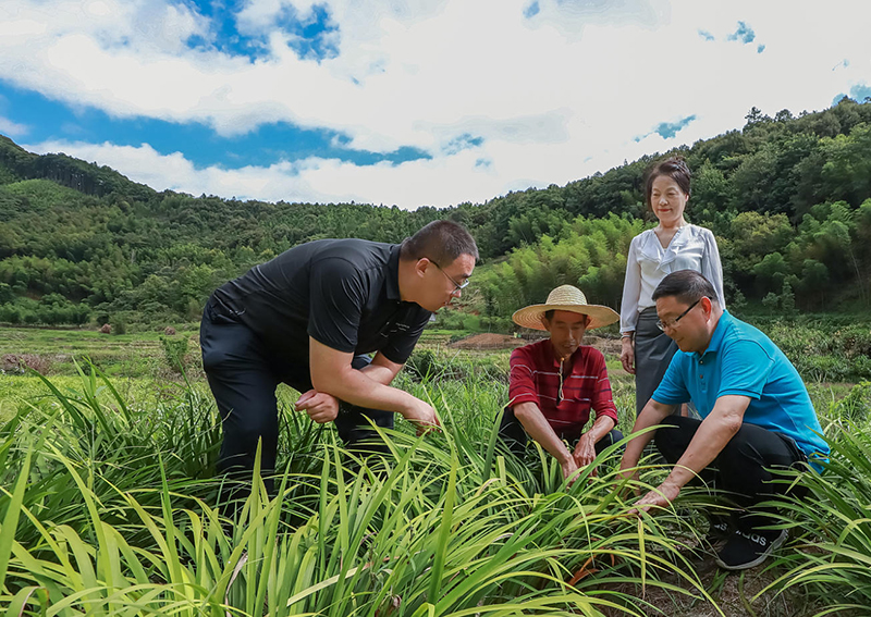 北“雁”南飞启心田